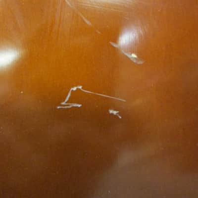 Knilling Sinfonia Cello image 17