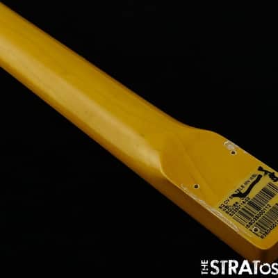 Fender Squier Classic Vibe 50s Telecaster NECK Tele Tinted Guitar *MN Maple image 5