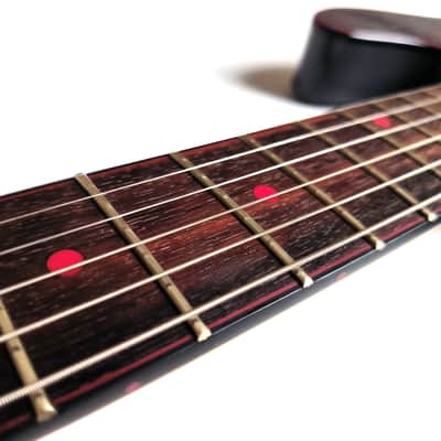 (made in Ukraine) GT Guitars TC 6-string '2024 Graphite image 5