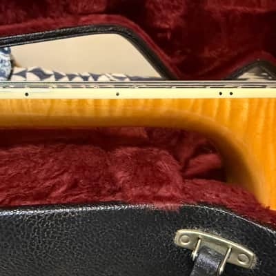 Benedetto Bravo 2005 - Honey Blonde image 11
