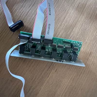 Make Noise Brains Sn# 102 Module black and gold eurorack image 8