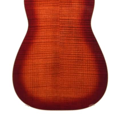 Beard Legacy E  Squareneck Curly Maple image 4