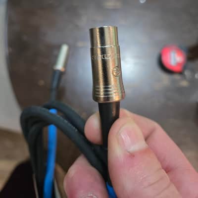 RapCo Imprint 10' Midi Cable Neutrik Ends image 3