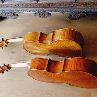 Radbon Violoncello da spalla 2025 image 2