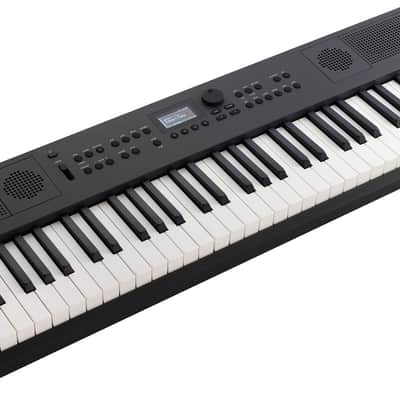 Roland Go:Keys 5 - Graphite