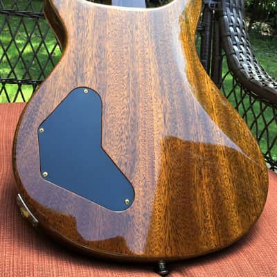 Paul Reed Smith PRS Private Stock DGT WildWood Guitars Limited Run #5 of 20 See Video image 4