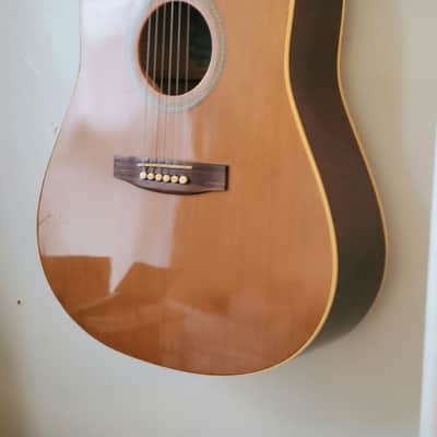 Seagull Godin 20th Anniversary Dreadnought Acoustic Guitar w/ Chainsaw Foam Fort Case image 6