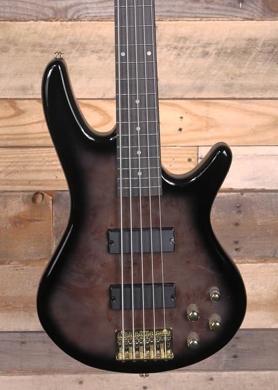 Ibanez GSR205PC 5-String Bass Transparent Pale Black Burst image 1