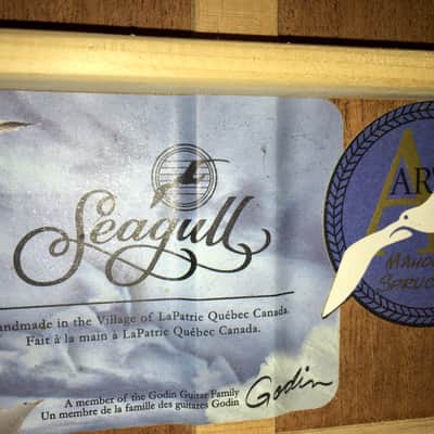Seagull Artist Portrait CW Early 2010's High Gloss image 11