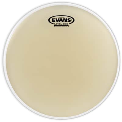 Evans 10" Batter Strata 1000 Drumhead image 2