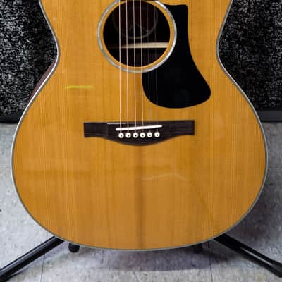 Eastman PCH2-GACE - Natural image 2