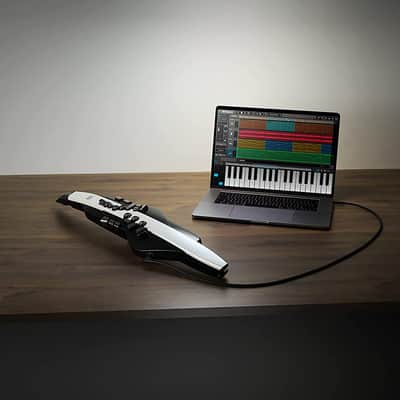 Roland AE-20 Aerophone Digital Wind Instrument - Matte Black and White image 5