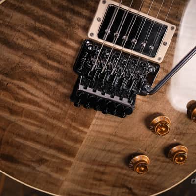 Gibson Custom Shop Les Paul Axcess Floyd DC Rust image 4
