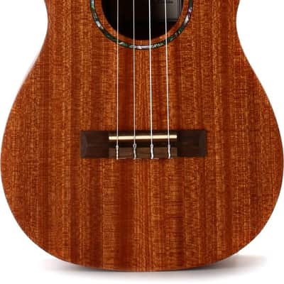 Cordoba U1B Baritone Ukulele - Natural Mahogany image 1