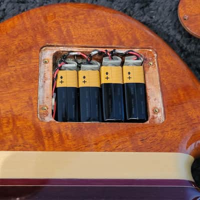 2009 Alembic Darling - Zebrawood With OHSC image 20