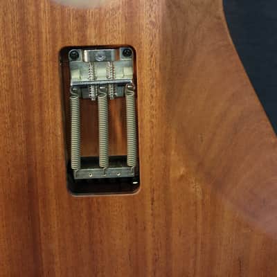 Pentagram Custom Guitars HS mahogany 2024 - Natural Satin image 4