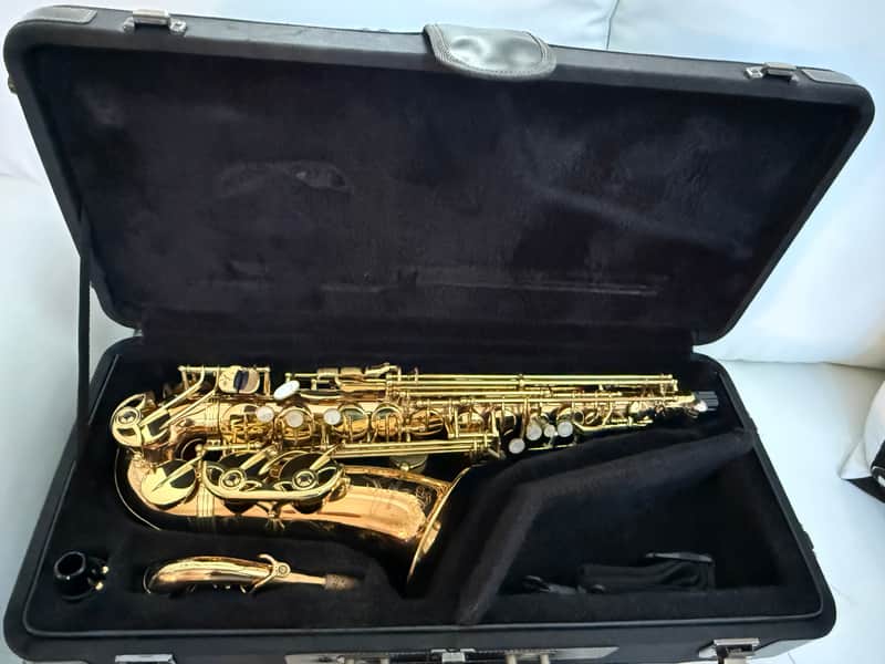 Yanagisawa A-WO20 Elite Professional Alto Saxophone - Bronze image 1