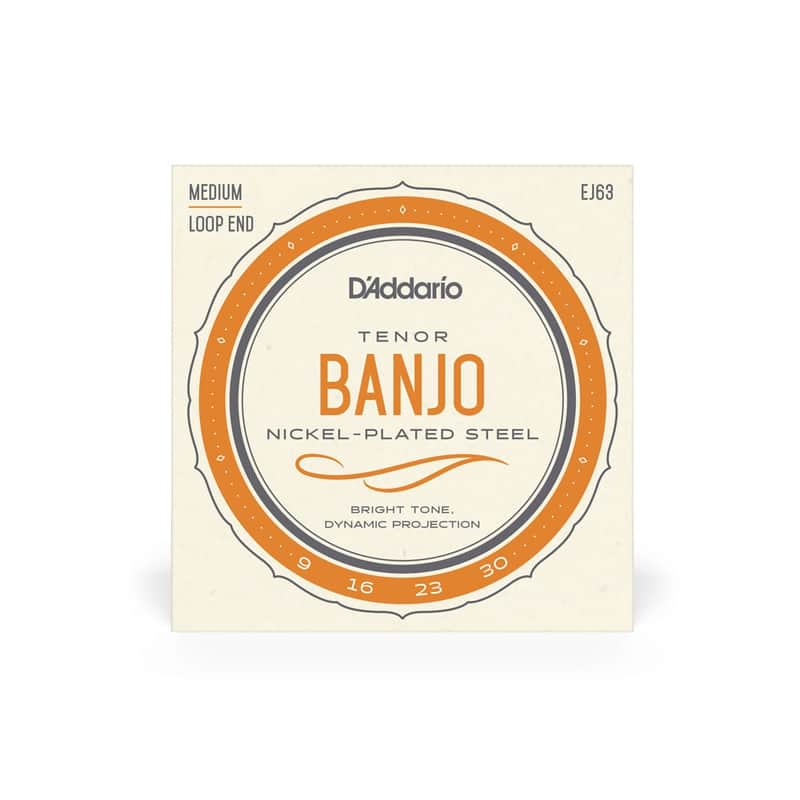 D'addario EJ63 Loop End Tenor Banjo String 009-030 image 1