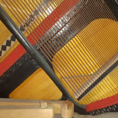 Rare German Antique Carl Ecke Upright Piano Circa 1890 image 16