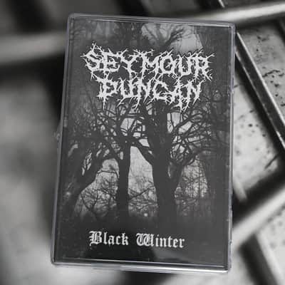 Seymour Duncan Black Winter Humbucker Set - (Matte Black Finish) image 2