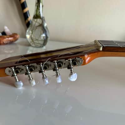 Ronroco Acoustic Electric Instrument (Charango Family) image 3