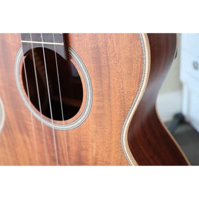 Kala KA-SA-T Solid Acacia Tenor Ukulele w/ Solid Acacia Top, Back & Sides - Satin image 20
