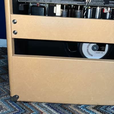 Rivera Fandango 55 1x12 Combo With Tuki Cover and Extras! image 8
