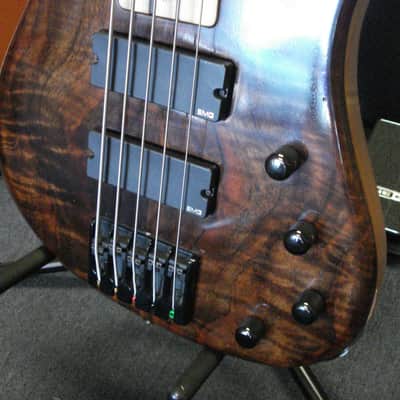 G Gould GGJ5 5string bass with deluxe gigbag imagen 4