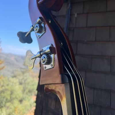 Eminence Removable Neck Bass image 3