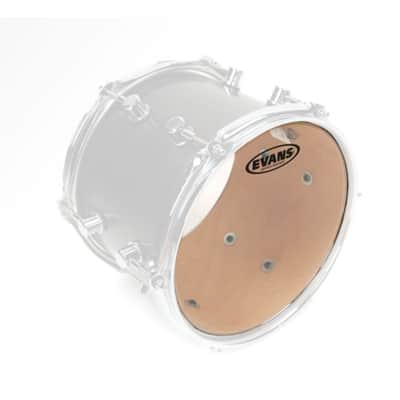 Evans Genera Resonant TT13GR 13" Tom Reso - Tom Head image 4