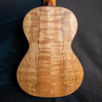 Cordoba 24T cedar top spalted maple tenor ukulele image 6
