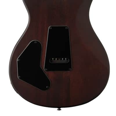 PRS SE DGT David Grissom Tremolo Signature Exotic Laurel Burl McCarty Tobacco Sunburst Ltd image 2