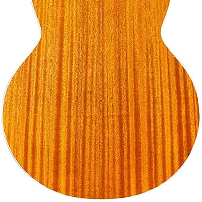 Guild Guitars B-140E Acoustic Bass, All Solid Woods,  Jumbo,  with Guild Premium Gig Bag image 2