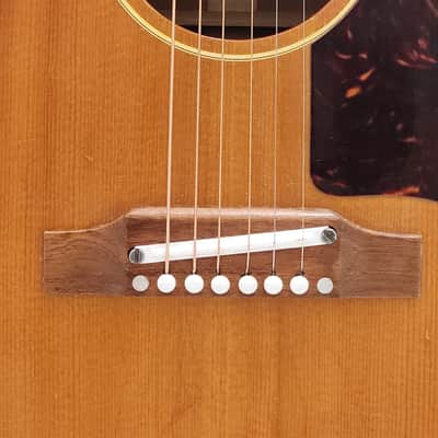 Gibson B-25 1962 - Sunburst image 3