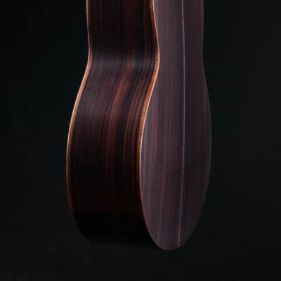 Lowden F-35 12-String Alpine Spruce and Indian Rosewood Used (2023) image 24