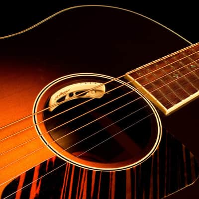 L.R. Baggs Anthem Acoustic Guitar Pickup image 3