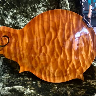 Dudenbostel 1-F Mandolin (Only One Made!) 2021 image 14