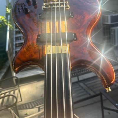 Custom Alembic Fretless 5 String Omega Heart w/LEDs image 1
