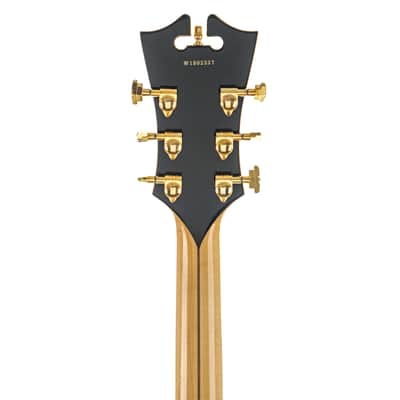 D'Angelico EXL-1 Hollowbody Guitar #W1802337 image 5