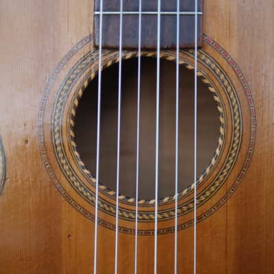 Original 19th Century TERZ guitar - Very rare! image 9