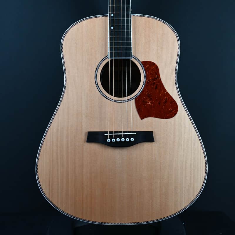 Seagull Seagull Artist Mosaic Anthem EQ Natural 2025