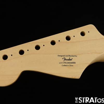 Fender Squier Paranormal Custom Nashville Strat NECK, image 6