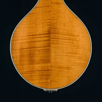 Bourgeois M5A Mandolin Full Aged Tone Adirondack Spruce and European Flamed Maple NEW image 5