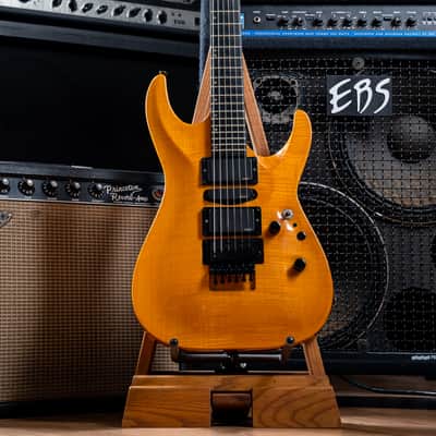 ESP Custom image 2