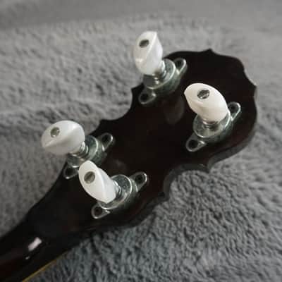 Tenesy Jagard 5-String Banjo Japan w/ Hard Case image 18