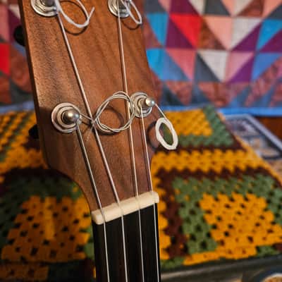 Kevin Enoch Tradesman Fretless Nylgut image 3