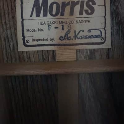 Morris F-18 Japan Folk Acoustic Guitar image 10