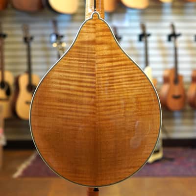 Bourgeois M5A A-Style Mandolin Natural w/Hard Case image 3