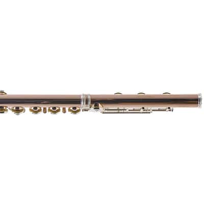 William S. Haynes Custom 14K Gold Flute with Gold Toneholes, Offset G, C# Trill image 9