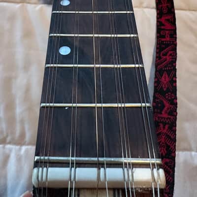Luthier Gonzales Steel 12 String Ronroco / Charangon 2017 with 10 sets of strings image 12